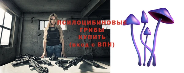 apvp Ступино