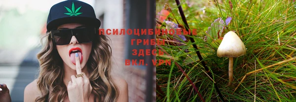 прущая мука Струнино
