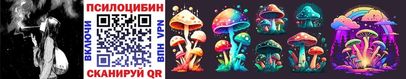 Галлюциногенные грибы Cubensis  Новошахтинск 