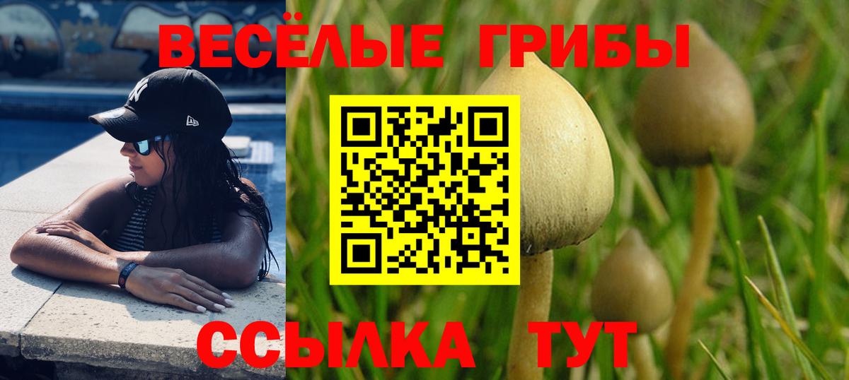 Новошахтинск  Псилоцибиновые грибы Psilocybe  Галлюциногенные грибы MAGIC MUSHROOMS  Вход с VPN 
