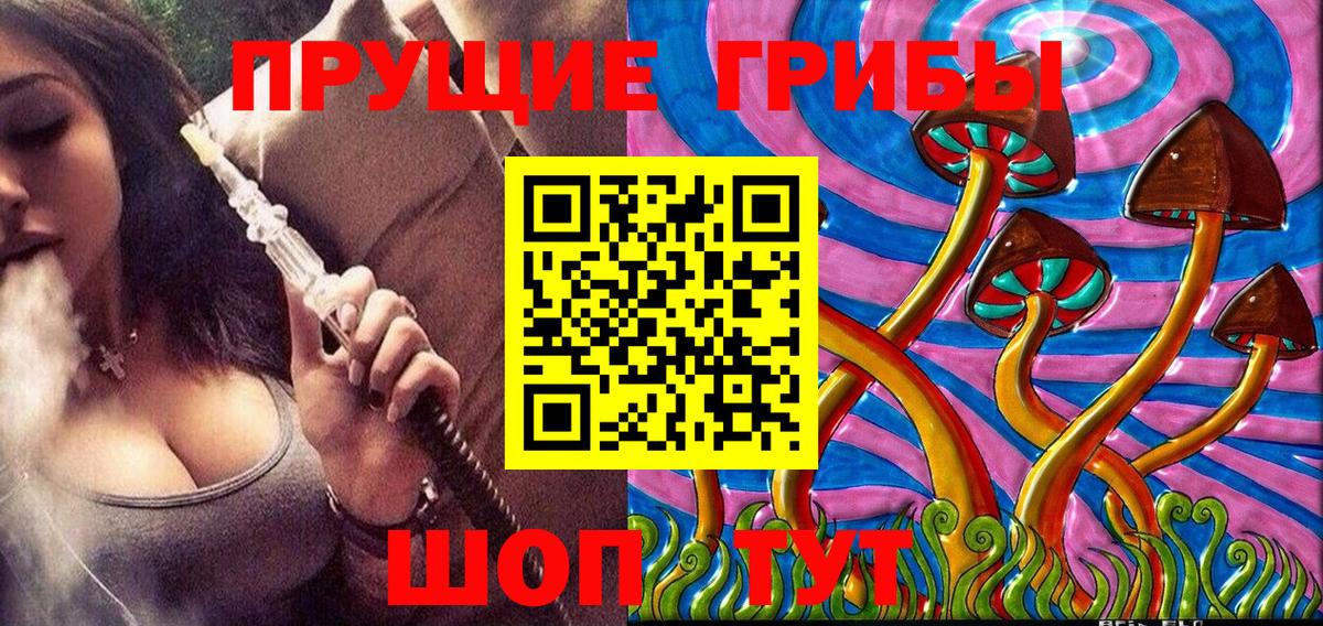 Галлюциногенные грибы Magic Shrooms  закладка  Псилоцибиновые грибы Cubensis  Новошахтинск 